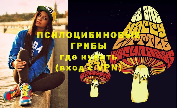 apvp Сафоново