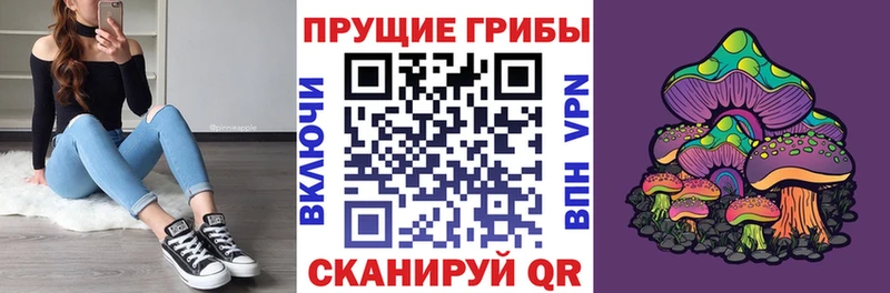 Псилоцибиновые грибы MAGIC MUSHROOMS  Купить закладки  Елизово 